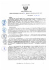 Vista preliminar de documento RD198