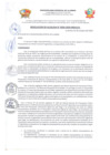 Vista preliminar de documento RESOLUCION N° 335-2024