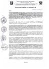 Vista preliminar de documento Resolución Gerencial N.° 310-2024-MDT-GM
