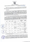 Vista preliminar de documento RGSR 595-2024