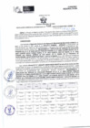Vista preliminar de documento RGSR 596-2024