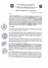 Vista preliminar de documento Resolución Gerencial N.° 311-2024-MDT-GM