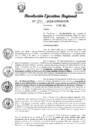 Vista preliminar de documento RER 294
