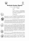 Vista preliminar de documento RER 307
