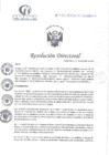 Vista preliminar de documento RD N°371-11-2024-DE-HCLLH-MINSA