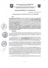 Vista preliminar de documento Resolución Gerencial N.° 325-2024-MDT-GM