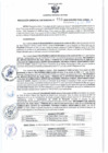 Vista preliminar de documento RGSR 619-2024