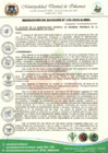 Vista preliminar de documento Resolución de Alcaldía N.° 156-2024-A-MDI