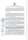 Vista preliminar de documento RGSR 622-2024