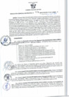 Vista preliminar de documento RGSR 521-2024
