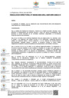 Vista preliminar de documento RD 2432-2024