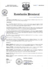 Vista preliminar de documento R.D N° 323-2024-HMA-DG