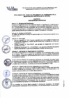 Vista preliminar de documento REGLAMENTO DEL COMITE DE SEGUIMIENTO DE INVERSIONES DE LA MLV