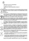 Vista preliminar de documento RA-297-2024_2024112912042700
