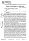 Vista preliminar de documento ACM24N238
