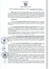 Vista preliminar de documento RGSR 536-2024