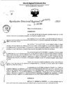Vista preliminar de documento RDR 5071-2023