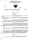 Vista preliminar de documento RDR 5084-2023