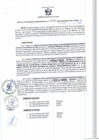 Vista preliminar de documento RGSR 539-2024