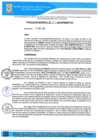 Vista preliminar de documento RG-1113 QR