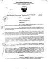 Vista preliminar de documento RDR 5117-2023