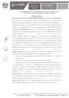 Vista preliminar de documento NULIDAD DE PROCESO CAS IX