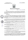 Vista preliminar de documento RD N  378-2024-DG-HLEV