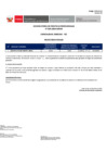 Vista preliminar de documento RESULTADOS FINALES PRÁCTICAS PROFESIONALES N° 029-2024