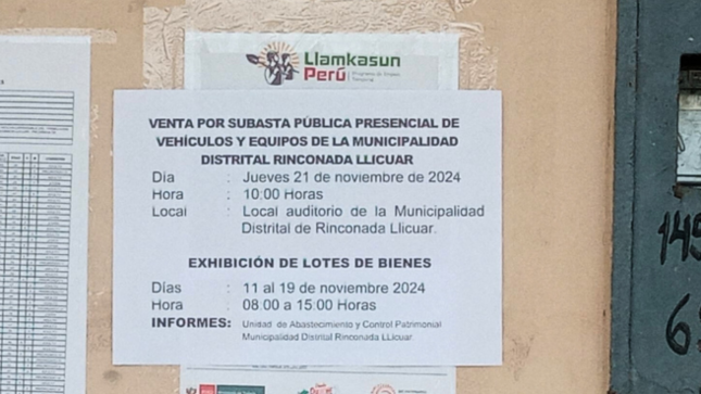 Flyer (11)
