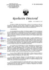 Vista preliminar de documento RD 253 2024 DG HEJCU