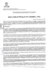 Vista preliminar de documento RAT-0811-2024