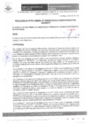 Vista preliminar de documento Resolución de Gerencia de Administración y Finanzas Nº 019-2024-OGAF/MDPN