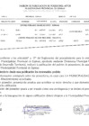Vista preliminar de documento 5