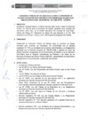 Vista preliminar de documento BASES DEL CONCURSO PUBLICO N  001-2024-HLEV