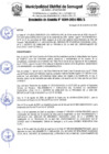 Vista preliminar de documento RA 0209
