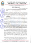 Vista preliminar de documento RESOLUCION ALCALDIA N° 685-2024-MPPC/AYAC.