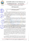 Vista preliminar de documento RESOLUCION ALCALDIA N° 686-2024-MPPC/AYAC.