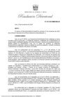 Vista preliminar de documento RD 247