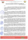 Vista preliminar de documento df_2458400.007_Resol527