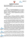 Vista preliminar de documento PAP 2024