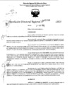 Vista preliminar de documento RDR 5133-2023