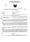 Vista preliminar de documento RDR 5135-2023