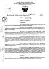 Vista preliminar de documento RDR 5137-2023