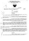 Vista preliminar de documento RDR 5138-2023