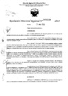Vista preliminar de documento RDR 5139-2023