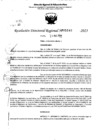Vista preliminar de documento RDR 5140-2023