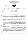 Vista preliminar de documento RDR 5141-2023