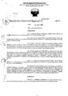 Vista preliminar de documento RDR 5142-2023