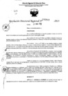 Vista preliminar de documento RDR 5143-2023