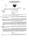 Vista preliminar de documento RDR 5144-2023